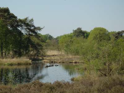 Fietsen door verborgen Limburg: rust, natuur en verrassingen