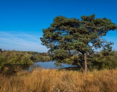 Landschap in natuurgebied Abdij Lilbosch & voormalig Klooster Mariahoop