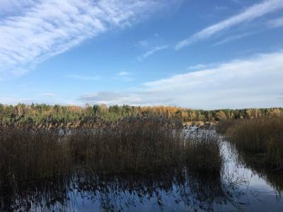 Landschap in natuurgebied Achter de Voort, Agelerbroek & Voltherbroek