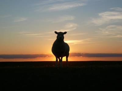 Landschap in natuurgebied Bakkeveense Duinen