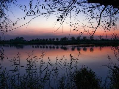 Landschap in natuurgebied Bekendelle