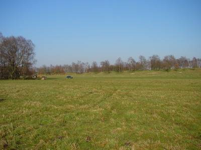 Landschap in natuurgebied Bemelerberg & Schiepersberg