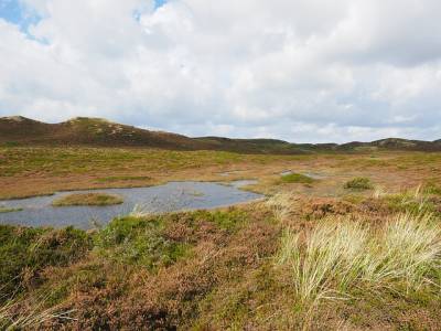 Landschap in natuurgebied Bergvennen & Brecklenkampse Veld