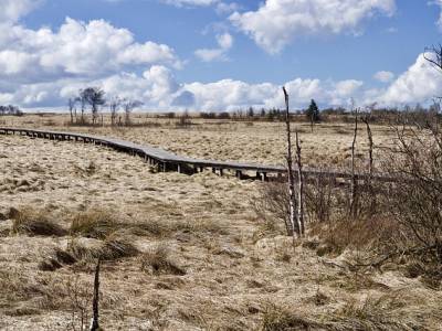 Landschap in natuurgebied Borkeld