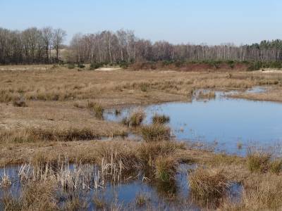 Landschap in natuurgebied Brabantse Wal