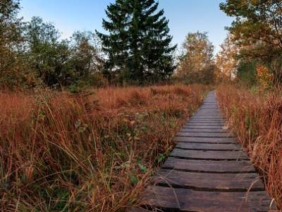 Landschap in natuurgebied Brunssummerheide