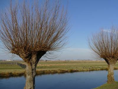 Landschap in natuurgebied Canisvliet