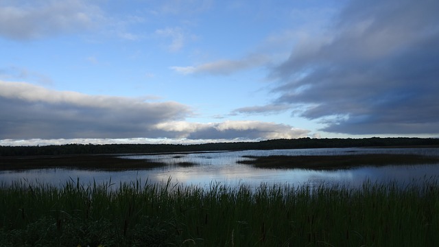 Landschap in natuurgebied De Wieden