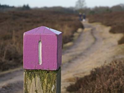 Landschap in natuurgebied Dinkelland