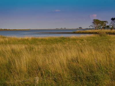 Landschap in natuurgebied Drentsche Aa-gebied