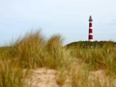 Landschap in natuurgebied Duinen Ameland