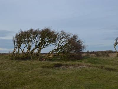 Landschap in natuurgebied Duinen Schiermonnikoog