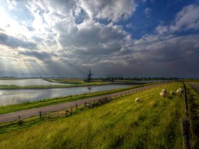 Landschap in natuurgebied Duinen van Texel