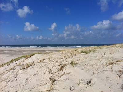 Landschap in natuurgebied Duinen Vlieland