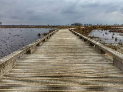 Landschap in natuurgebied Dwingelderveld