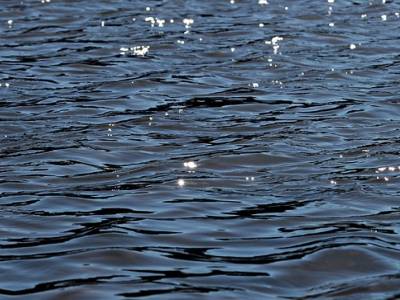 Landschap in natuurgebied Eemmeer & Gooimeer Zuidoever