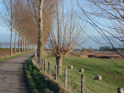 Landschap in natuurgebied Elperstroomgebied