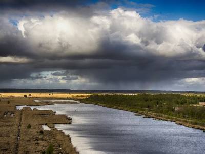 Landschap in natuurgebied Fochteloërveen