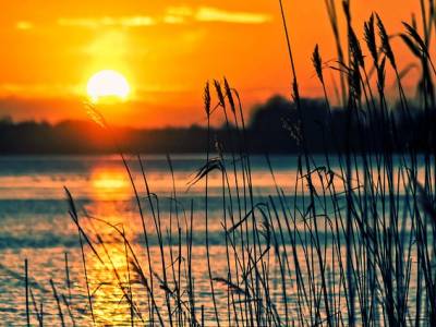 Landschap in natuurgebied Groote Gat
