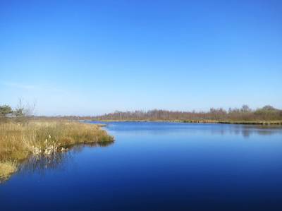 Landschap in natuurgebied Groote Peel