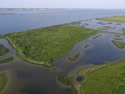 Landschap in natuurgebied Haringvliet