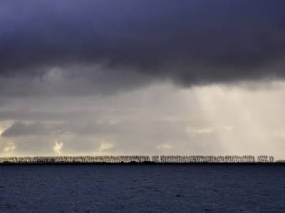 Landschap in natuurgebied Hollands Diep