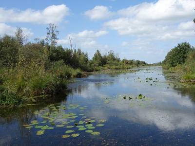 Landschap in natuurgebied Ilperveld, Varkensland, Oostzanerveld & Twiske