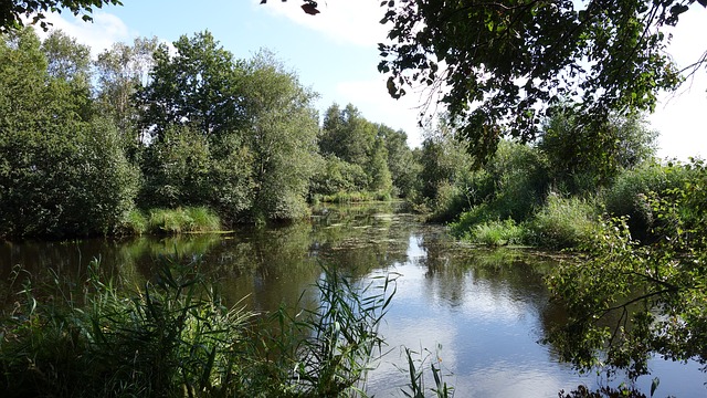 Landschap in natuurgebied Korenburgerveen