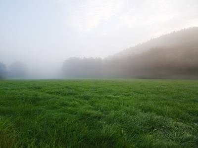 Landschap in natuurgebied Landgoederen Oldenzaal