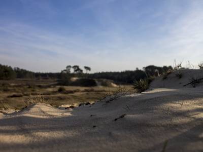 Landschap in natuurgebied Lemselermaten