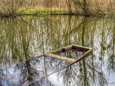 Landschap in natuurgebied Lingegebied & Diefdijk-Zuid