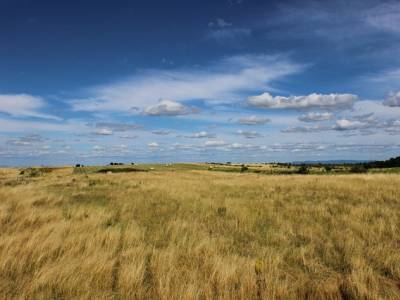 Landschap in natuurgebied Loevestein, Pompveld & Kornsche Boezem