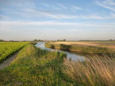Landschap in natuurgebied Manteling van Walcheren
