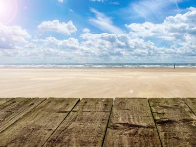 Landschap in natuurgebied Markermeer & IJmeer