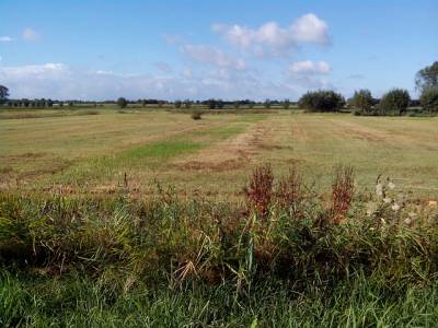 Landschap in natuurgebied Markiezaat