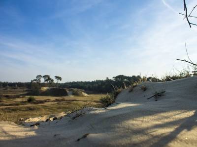 Landschap in natuurgebied Meinweg