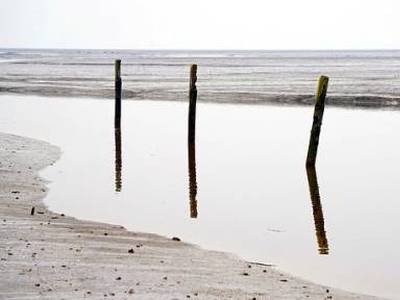 Landschap in natuurgebied Noordzeekustzone