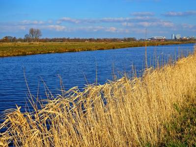 Landschap in natuurgebied Oeffeltermeent