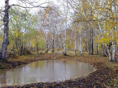 Landschap in natuurgebied Oostelijke Vechtplassen