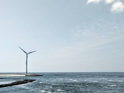 Landschap in natuurgebied Oosterschelde
