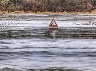 Landschap in natuurgebied Rijntakken