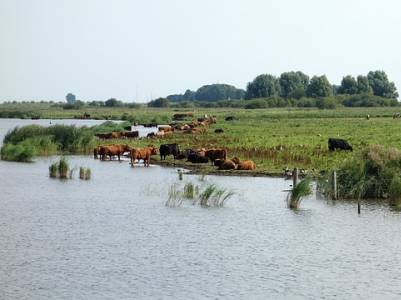 Landschap in natuurgebied Roerdal
