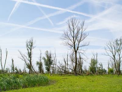 Landschap in natuurgebied Sarsven en De Banen