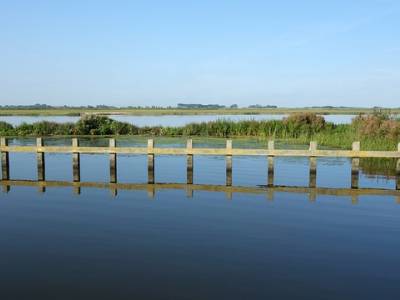 Landschap in natuurgebied Sneekermeergebied