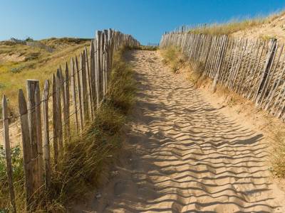 Landschap in natuurgebied Solleveld & Kapittelduinen