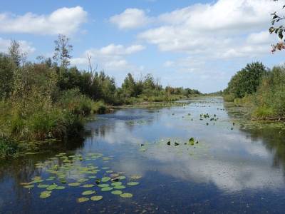 Landschap in natuurgebied Swalmdal