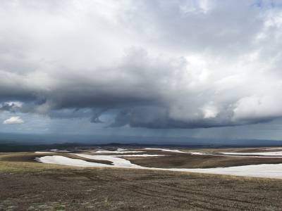Landschap in natuurgebied Uiterwaarden Lek