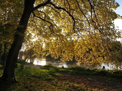 Landschap in natuurgebied Ulvenhoutse Bos