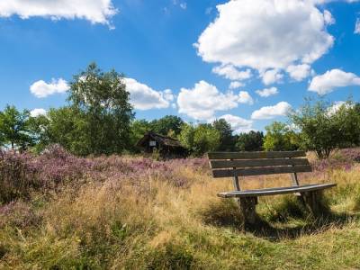 Landschap in natuurgebied Utrechtse Heuvelrug
