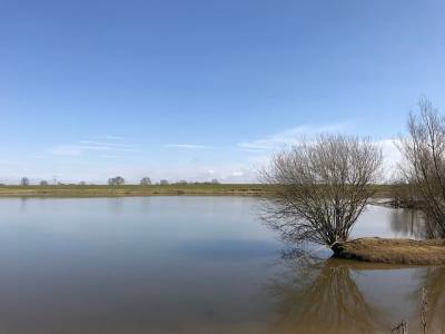 Landschap in natuurgebied Vecht- en Beneden-Reggegebied
